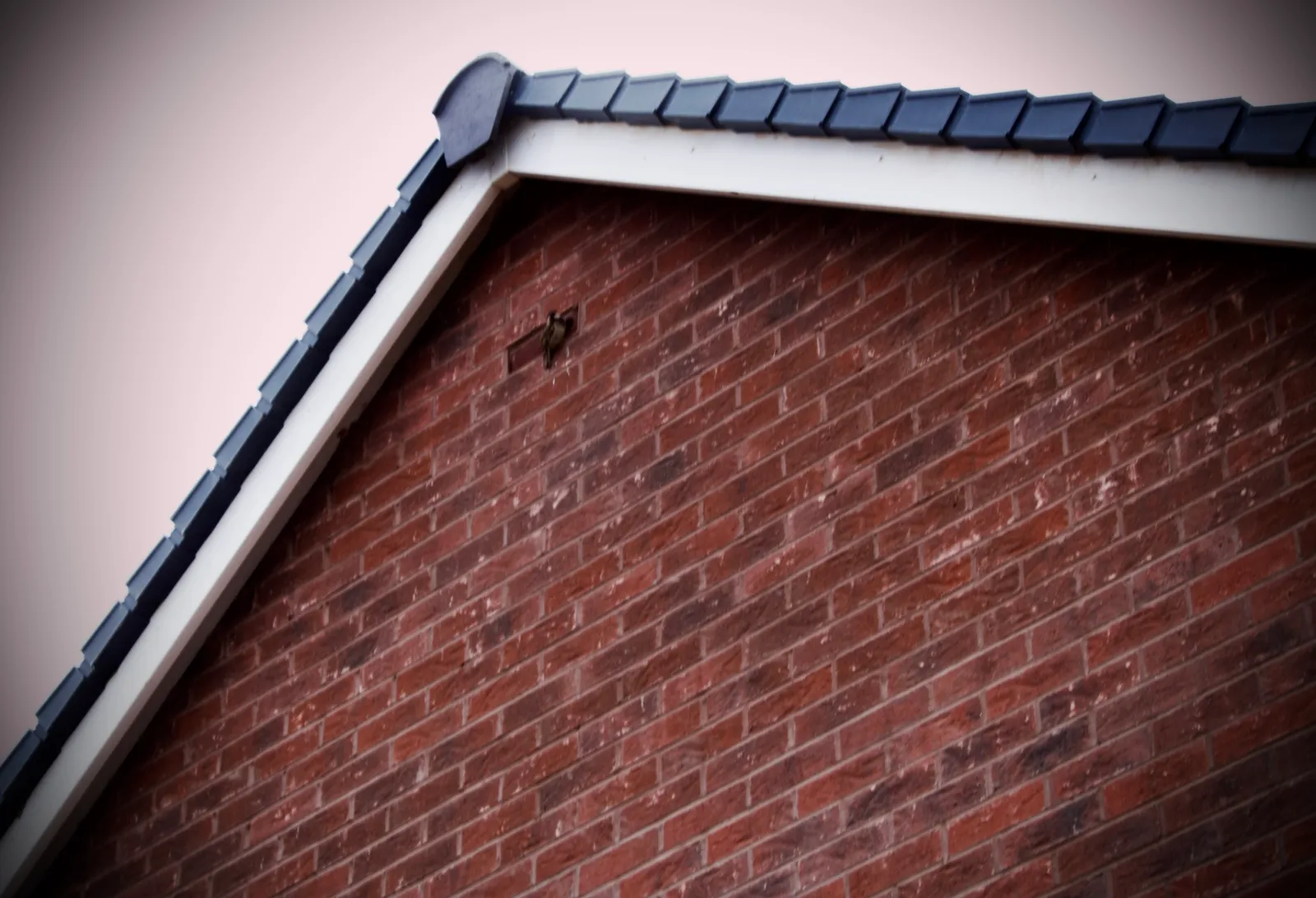 Fascia soffit white bargeboard on grey tiled gable roof